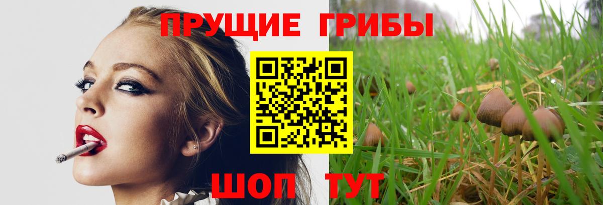 Галлюциногенные грибы мицелий  Вход с VPN  Сочи 